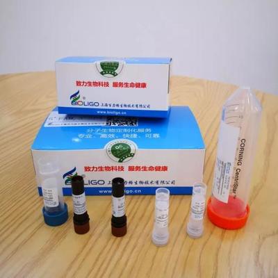 給力!抗擊新冠肺炎,長(zhǎng)三角G60科創(chuàng)走廊松江企業(yè)貢獻(xiàn)核心技術(shù)產(chǎn)品