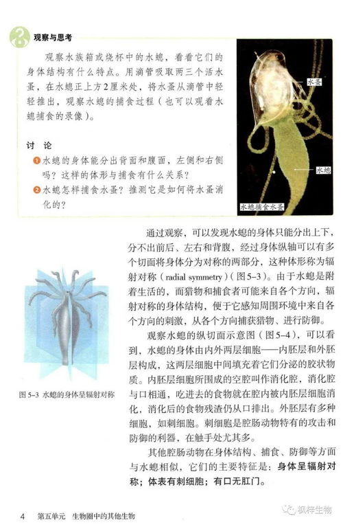 人教版八年級上冊生物電子課本教材 高清pdf版