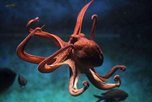 被囚禁在嬰兒軀殼中的34歲靈魂 為何永不衰老？