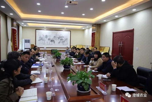 省市領導來澄調(diào)研產(chǎn)業(yè)脫貧技術服務工作